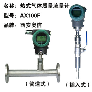 热式气体质量流量计AX100F