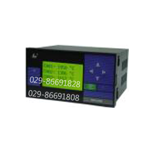 天然气流量积算仪SWP-LCD-LT802-02-AAG-2P香港昌辉