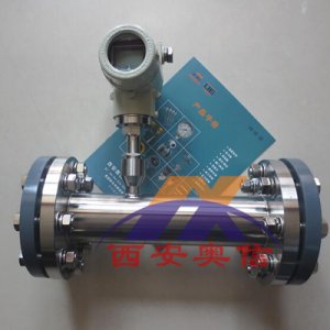 HQ981热式质量流量计西安智能流量计HQ981-50-211111-240Nm3/h