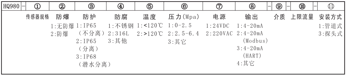 HQ981热式质量流量计西安智能流量计HQ981-50-211111-240Nm3/h 